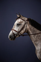 Dy'on New English Collection "Difference" Bridle
